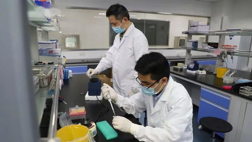 科技抗疫新突破 滬企融合通信技術，核酸檢測時間大幅縮短至1小時