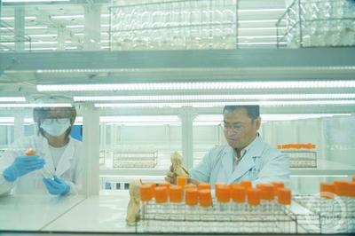 科技創新引領綠色發展 特種蠶絲、楊樹新品種與長江生態保護的協同探索