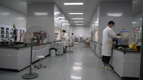 千帆競發浪潮涌 三門以通信技術開發為抓手，全力打造接滬融甬先行區